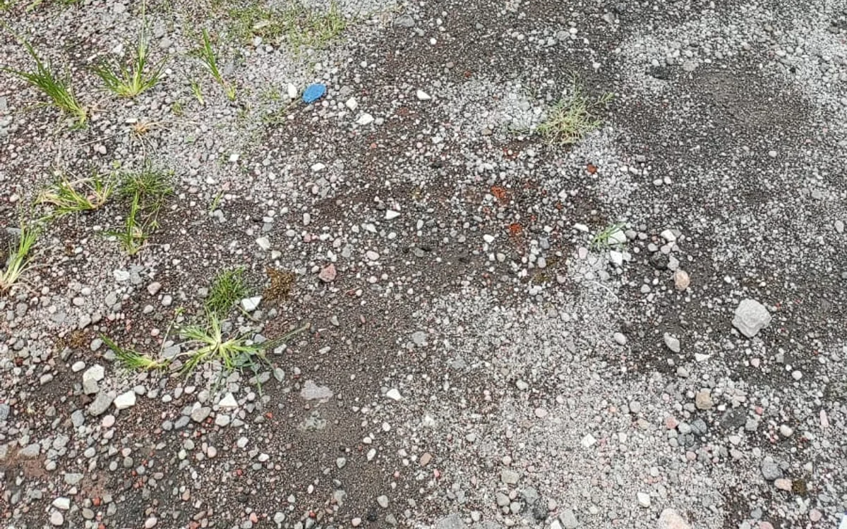 8+ Model Paving Block yang Wajib Anda Ketahui Sebelum Membeli